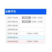 ヒメ日記 2025/02/18 11:00 投稿 さつき カリビアン