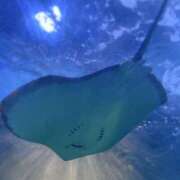 ヒメ日記 2025/02/28 11:00 投稿 さつき カリビアン