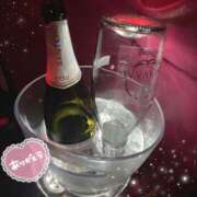 ヒメ日記 2025/02/28 21:15 投稿 さつき カリビアン