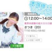 ヒメ日記 2025/03/16 10:30 投稿 さつき カリビアン