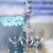 ヒメ日記 2025/04/18 19:58 投稿 さつき カリビアン