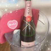 ヒメ日記 2025/06/07 02:33 投稿 さつき カリビアン