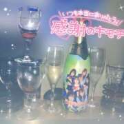 ヒメ日記 2025/06/07 07:00 投稿 さつき カリビアン