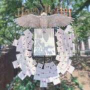 ヒメ日記 2025/07/25 07:45 投稿 さつき カリビアン