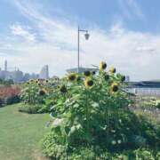 ヒメ日記 2025/08/03 11:00 投稿 さつき カリビアン