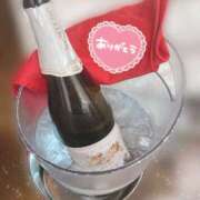 ヒメ日記 2025/09/17 06:30 投稿 さつき カリビアン