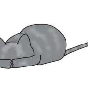 ヒメ日記 2025/07/27 21:33 投稿 あい カリビアン