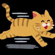 ヒメ日記 2026/02/02 20:38 投稿 あい カリビアン