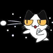 ヒメ日記 2026/02/08 19:13 投稿 あい カリビアン