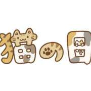 あい こんばんは〜🌙* :ﾟ カリビアン