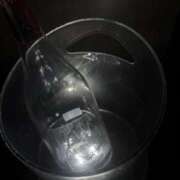 ヒメ日記 2025/04/28 18:21 投稿 うえ カリビアン