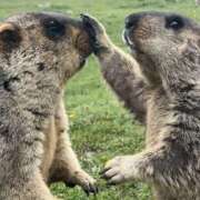 ヒメ日記 2026/01/08 12:58 投稿 うえ カリビアン