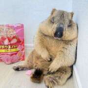 ヒメ日記 2026/04/06 12:00 投稿 うえ カリビアン