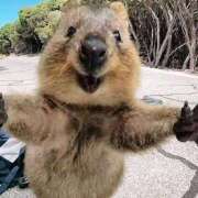 ヒメ日記 2026/04/22 11:54 投稿 うえ カリビアン