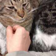 ヒメ日記 2025/05/23 07:29 投稿 さやか 奥様鉄道69 岡山店