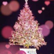 ヒメ日記 2024/12/25 23:08 投稿 田村 みえこ こあくまな熟女たち 千葉店（KOAKUMAグループ）