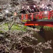 ヒメ日記 2025/04/08 15:02 投稿 田村 みえこ こあくまな熟女たち 千葉店（KOAKUMAグループ）