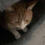 ヒメ日記 2025/03/25 18:14 投稿 すい キスMy