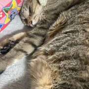 ヒメ日記 2025/04/23 11:31 投稿 すい キスMy