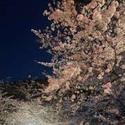 ヒメ日記 2025/04/24 18:42 投稿 すい キスMy