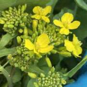 ヒメ日記 2025/05/08 12:13 投稿 すい キスMy