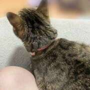 ヒメ日記 2025/06/01 12:04 投稿 すい キスMy