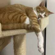 ヒメ日記 2025/06/01 19:53 投稿 すい キスMy