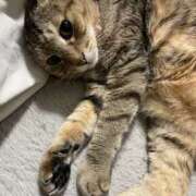 ヒメ日記 2025/06/08 23:57 投稿 すい キスMy