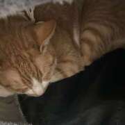 ヒメ日記 2025/06/20 13:25 投稿 すい キスMy