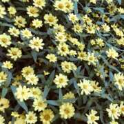 ヒメ日記 2025/06/23 19:28 投稿 すい キスMy