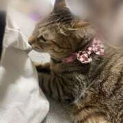 ヒメ日記 2025/08/24 12:39 投稿 すい キスMy