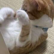 ヒメ日記 2025/08/26 22:45 投稿 すい キスMy