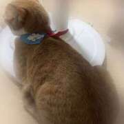 ヒメ日記 2025/09/12 11:38 投稿 すい キスMy