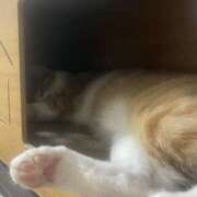 ヒメ日記 2025/09/13 22:51 投稿 すい キスMy