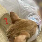 ヒメ日記 2025/10/07 23:28 投稿 すい キスMy