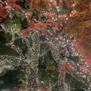 すい お礼🍁🪅🍺 キスMy