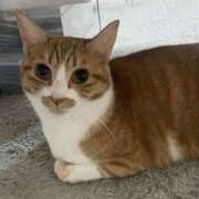 ヒメ日記 2025/12/11 22:41 投稿 すい キスMy