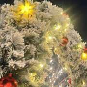 ヒメ日記 2025/12/20 23:35 投稿 すい キスMy