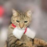 ヒメ日記 2025/12/22 13:47 投稿 すい キスMy