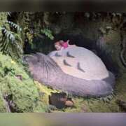 ヒメ日記 2025/08/20 19:44 投稿 りほ カリビアン