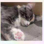 ヒメ日記 2025/09/23 11:41 投稿 りほ カリビアン