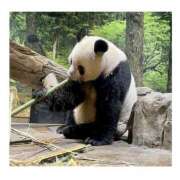 りほ 遠足 カリビアン