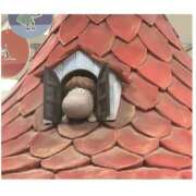 りほ しゅっきん カリビアン