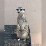 ヒメ日記 2026/04/04 11:52 投稿 りほ カリビアン