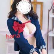 ヒメ日記 2024/12/30 13:33 投稿 はな カリビアン