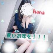 ヒメ日記 2024/12/31 15:20 投稿 はな カリビアン