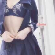 ヒメ日記 2025/01/05 14:51 投稿 はな カリビアン