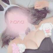 ヒメ日記 2025/01/23 17:37 投稿 はな カリビアン