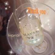 ヒメ日記 2025/02/24 09:12 投稿 はな カリビアン