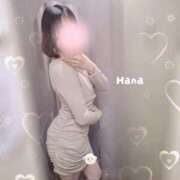 ヒメ日記 2025/03/28 13:04 投稿 はな カリビアン